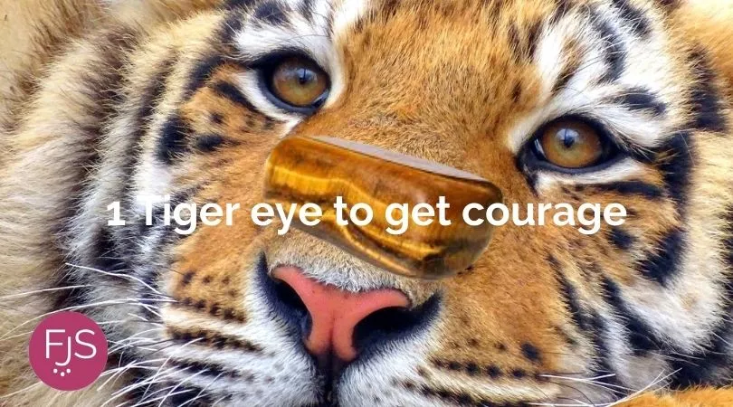 Florence Jewelshop Home 13 1 Tiger eye to get courage
