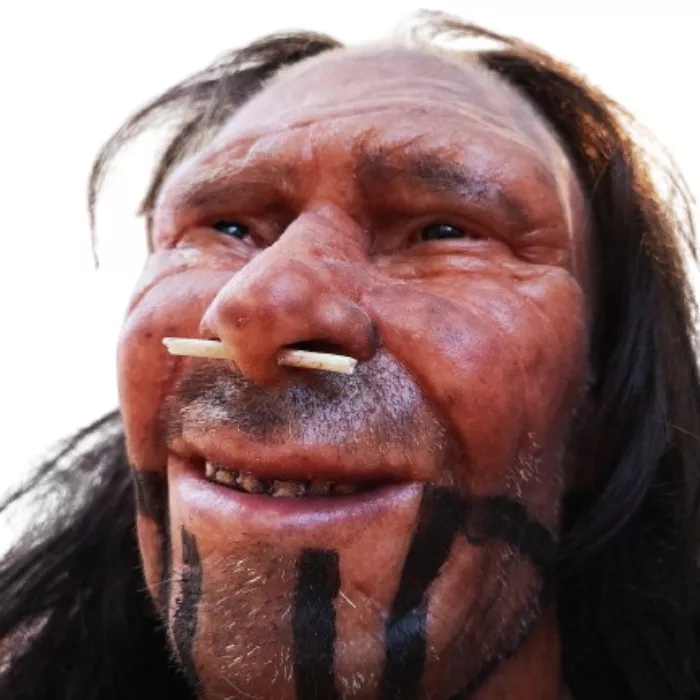 Septum nose jewelry, made of bone Septum nose jewelry, made of bone